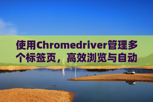 使用Chromedriver管理多个标签页，高效浏览与自动化操作的秘诀